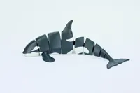 Flexy Orca – Image 1