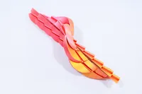 Flexy Fidget Ball – Image 3