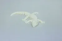 Flexy Gecko – Image 1