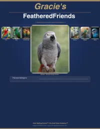 Gracie's FeatherFriends | Children's Bird Activity Book – Image 1