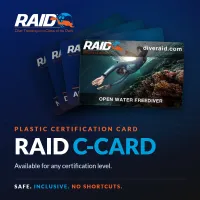 Dive RAID C-Card (Plastic) – Image 1