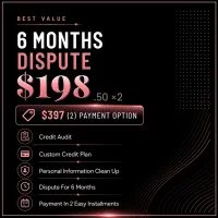 6 MONTHS DISPUTE $397 – Image 1