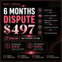 6 MONTHS DISPUTE $497 – Image 1