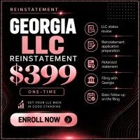 Georgia LLC Reinstatement – Image 1