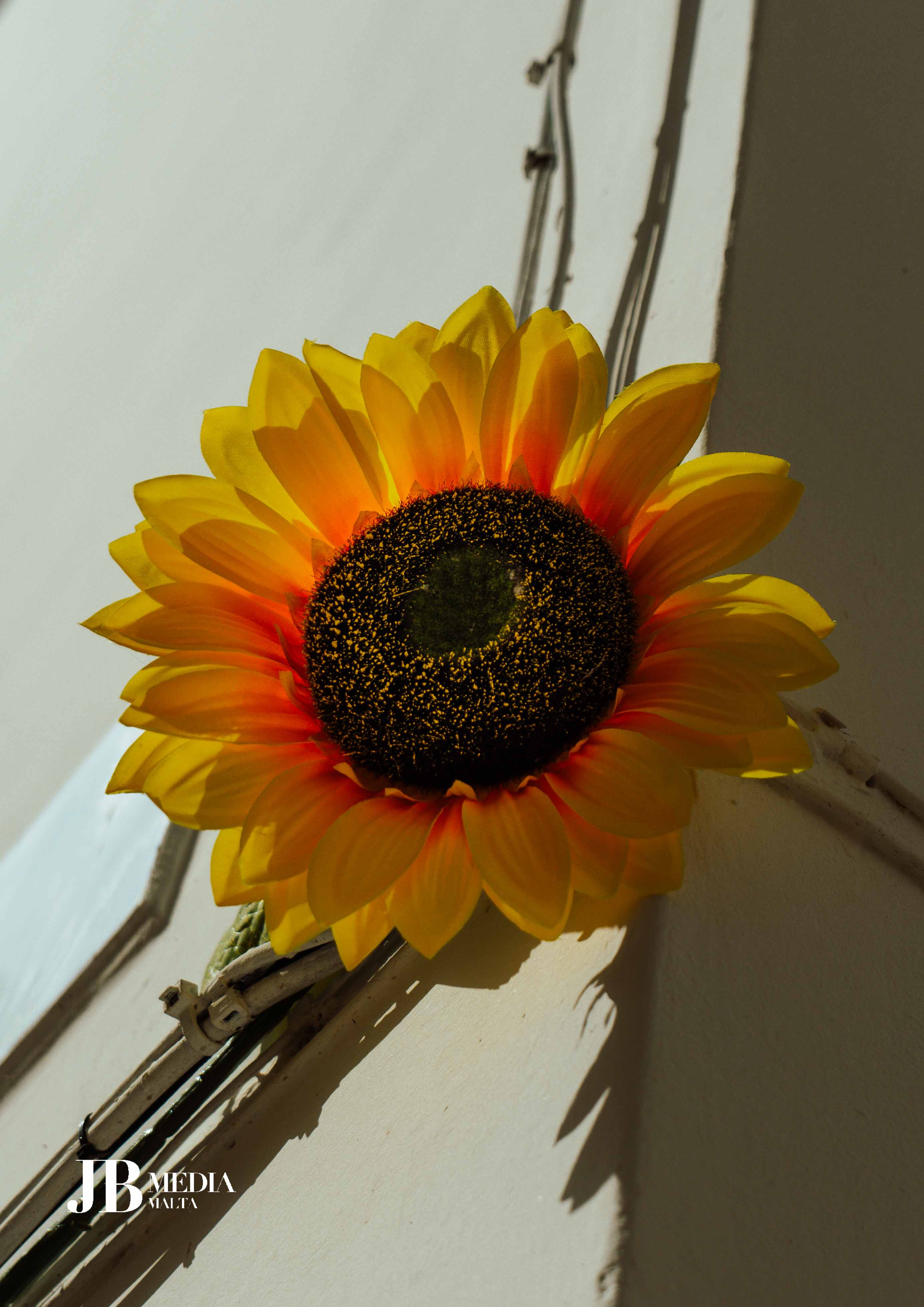 Golden Petals – Image 1