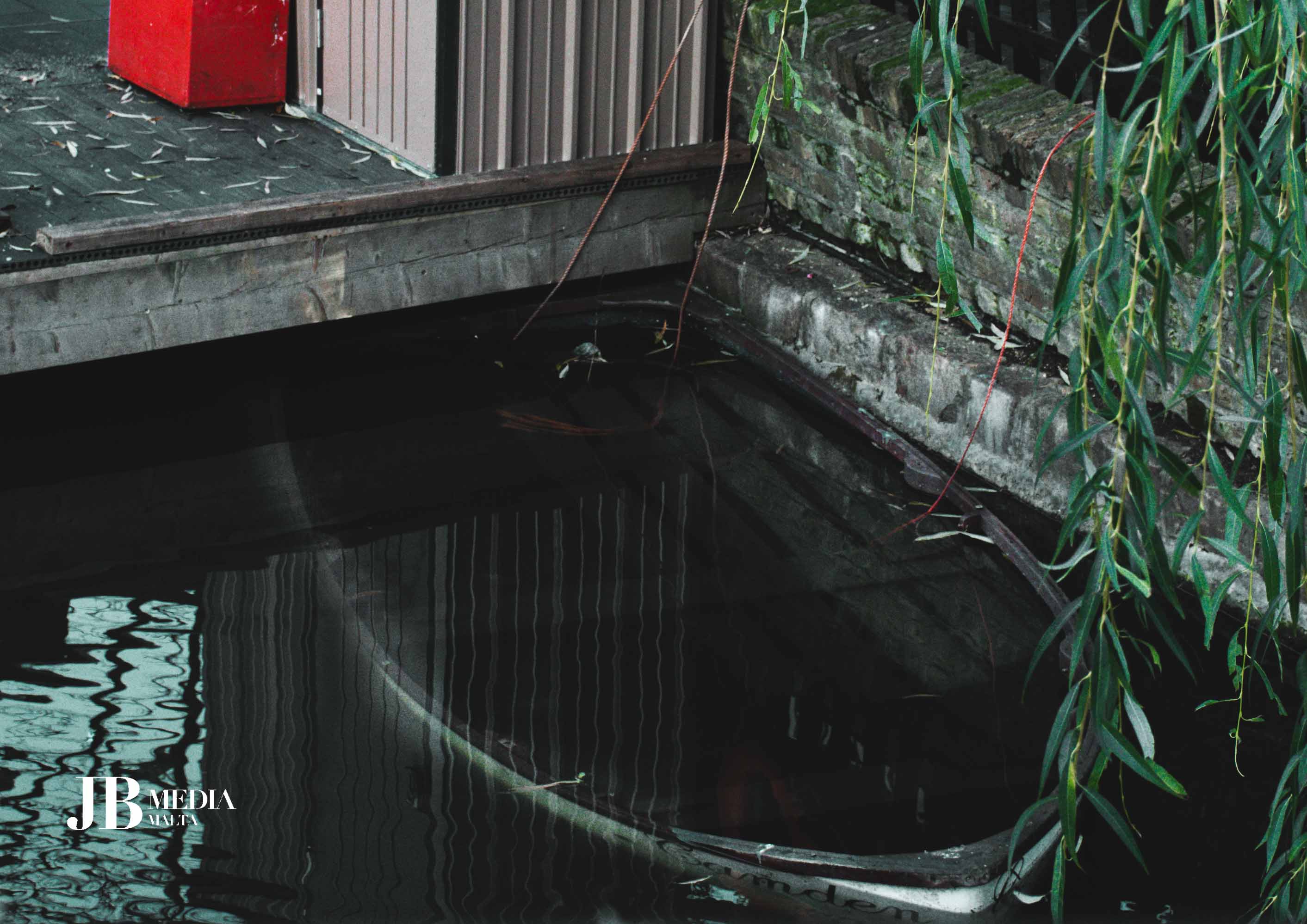 The Willow's Reflection – Image 1