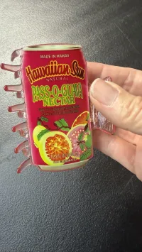 Hawaiian Sun Claw Clip – Pink - POG