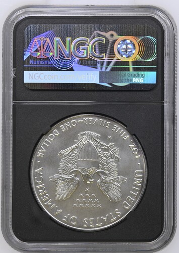 2016-W Burnished Silver Eagle MS70  Annual Dollar Coin Set • Certified Elite Collector Issue – Image 2