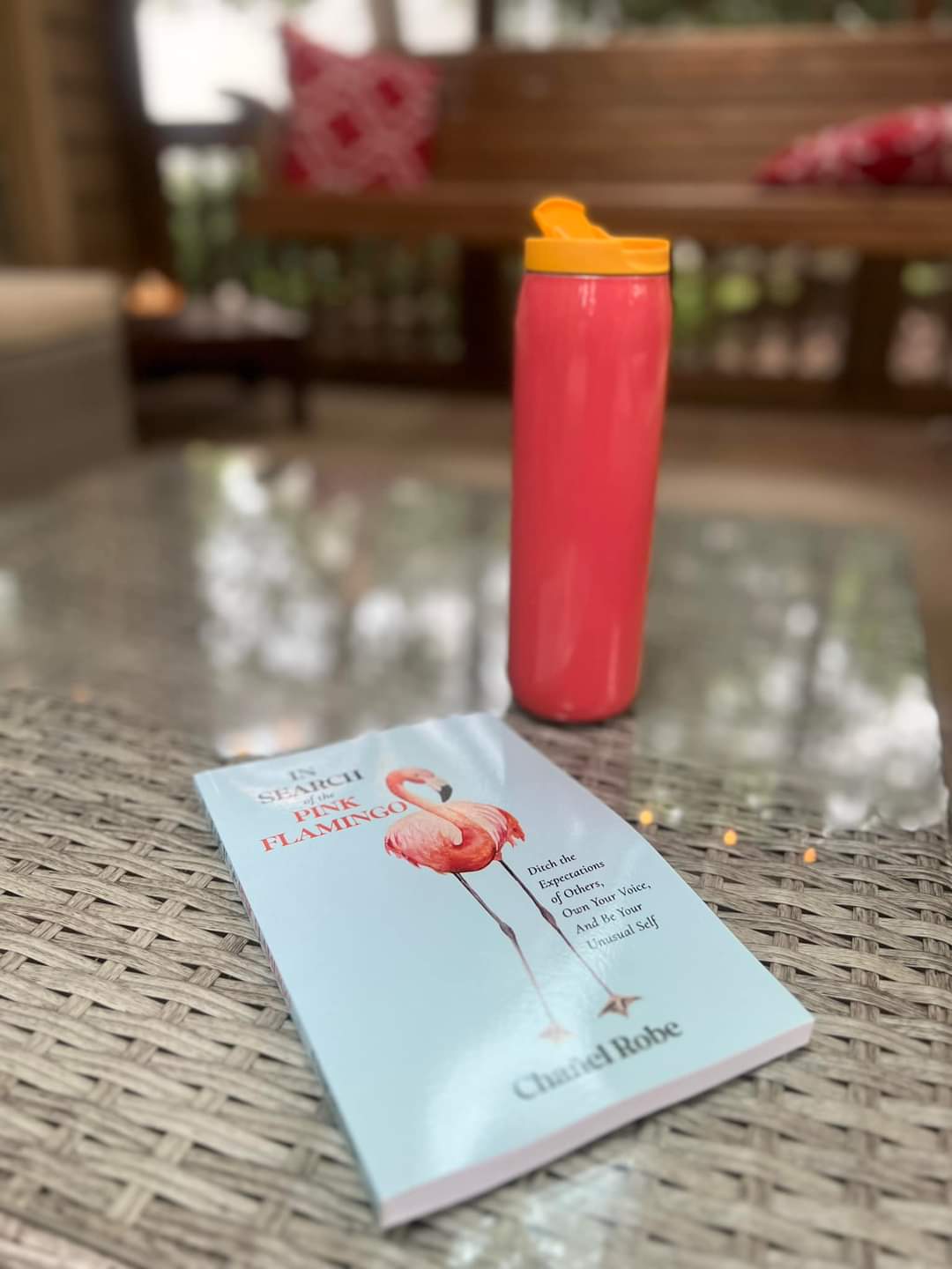BOOK: "In Search of the Pink Flamingo" PLUS A SECRET GIFT – Image 3