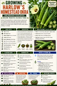 Grow Card and Seed Collection  – Image 2