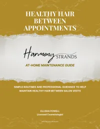 Healthy Hair Between Appointments Guide - eBook – Image 1