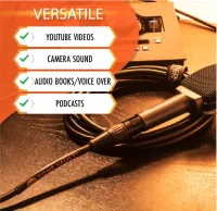 25 Ft - Artist Series - Premium XLR to XLR Microphone Cable – Image 5