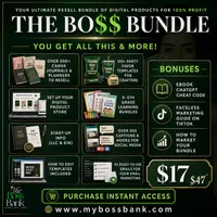 The Boss Bundle -DFY Template Pack – Image 1
