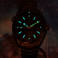 OMEGA Seamaster Planet Ocean 600M 45.5mm 232.30.46.21.01.001 – Image 14