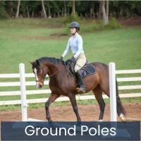 Equitation – Image 5
