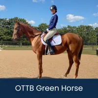 OTTB 2.Green Horse – OTTB-G Western Horsemanship (Intermediate W/J/L), Adult (18+), 8" Flat Ribbon