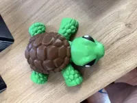 Jumbo 3D Printed Tortoise Flexi – Image 5