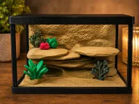 Bearded Dragon Tiny Terrarium – Image 3