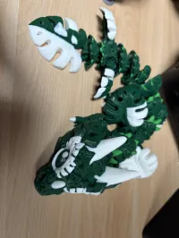 Baby Monstera Plant Dragon – Image 3