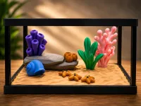 Hermit Crab Tiny Terrarium – Image 2