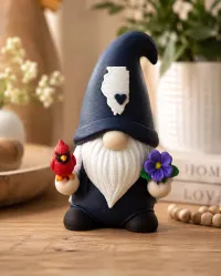 State Gnome -Illinois – Image 1