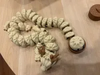 Dumpling Dragon – Image 2