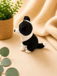 Border Collie – Image 3
