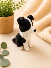 Border Collie – Image 2