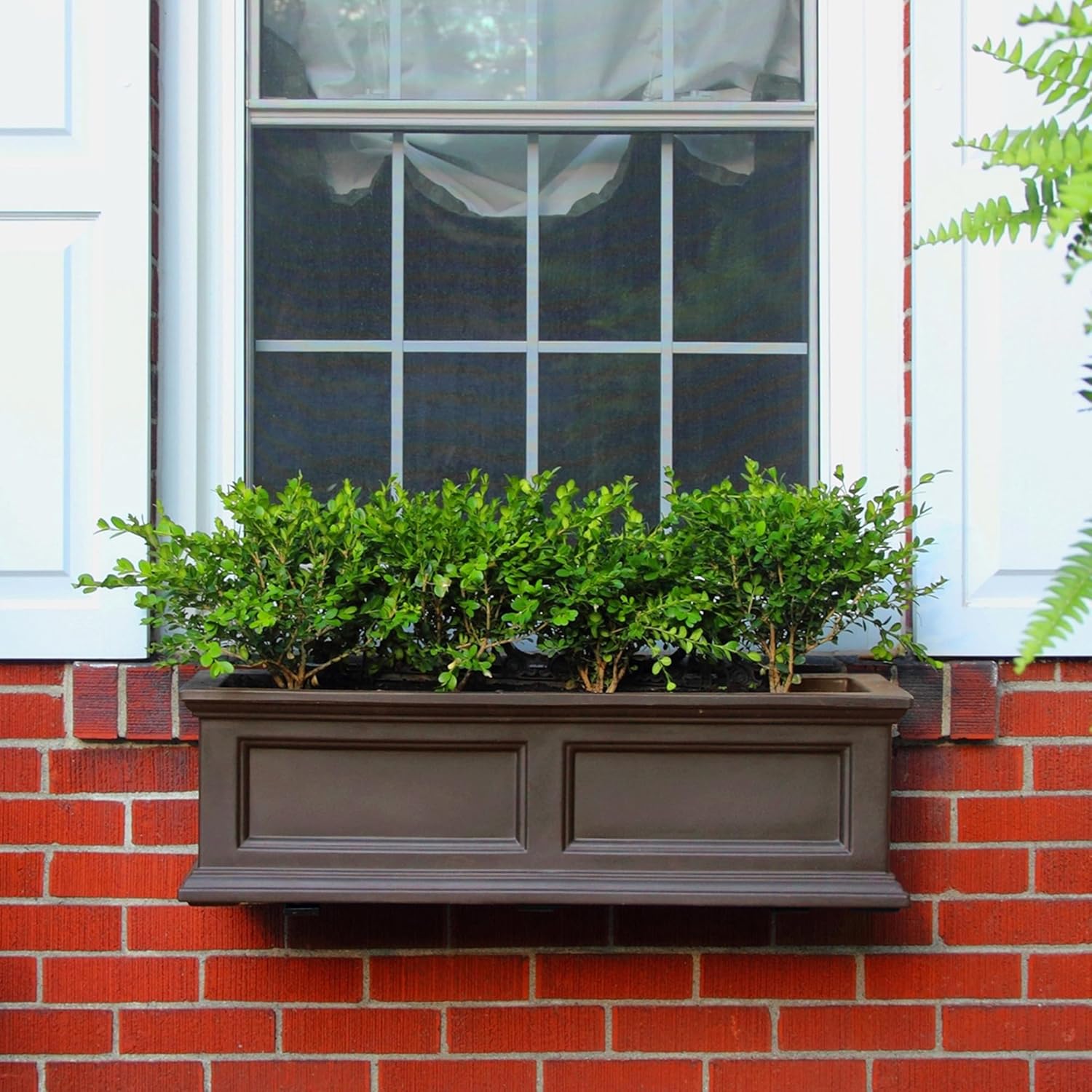 Self Watering Flower Box with Double Wall Design – Espresso, 3ft