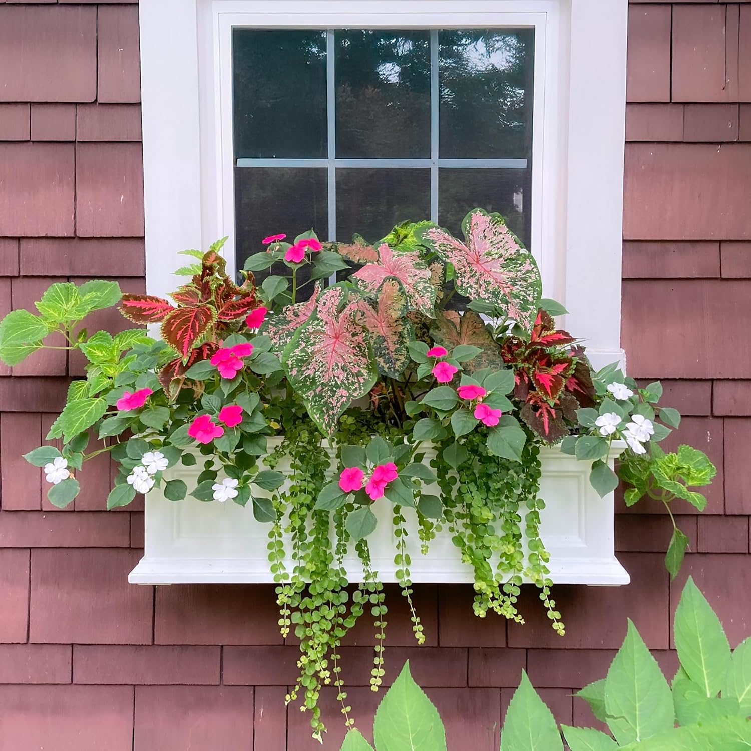Self Watering Flower Box with Double Wall Design – White, 3ft