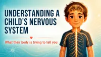 Complete Nervous System Learning Bundle - All 6 for the price of 5! – Image 3