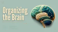 Organizing the Brain – Image 2