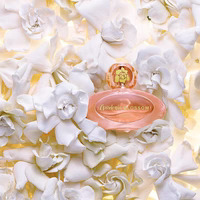 Gardenia Blossom – Image 2