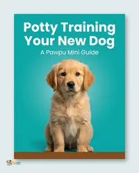 Potty Training Your New Dog – Image 1