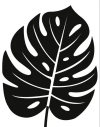 example – Image 1