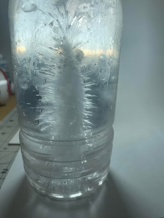 Water Works – Image 2