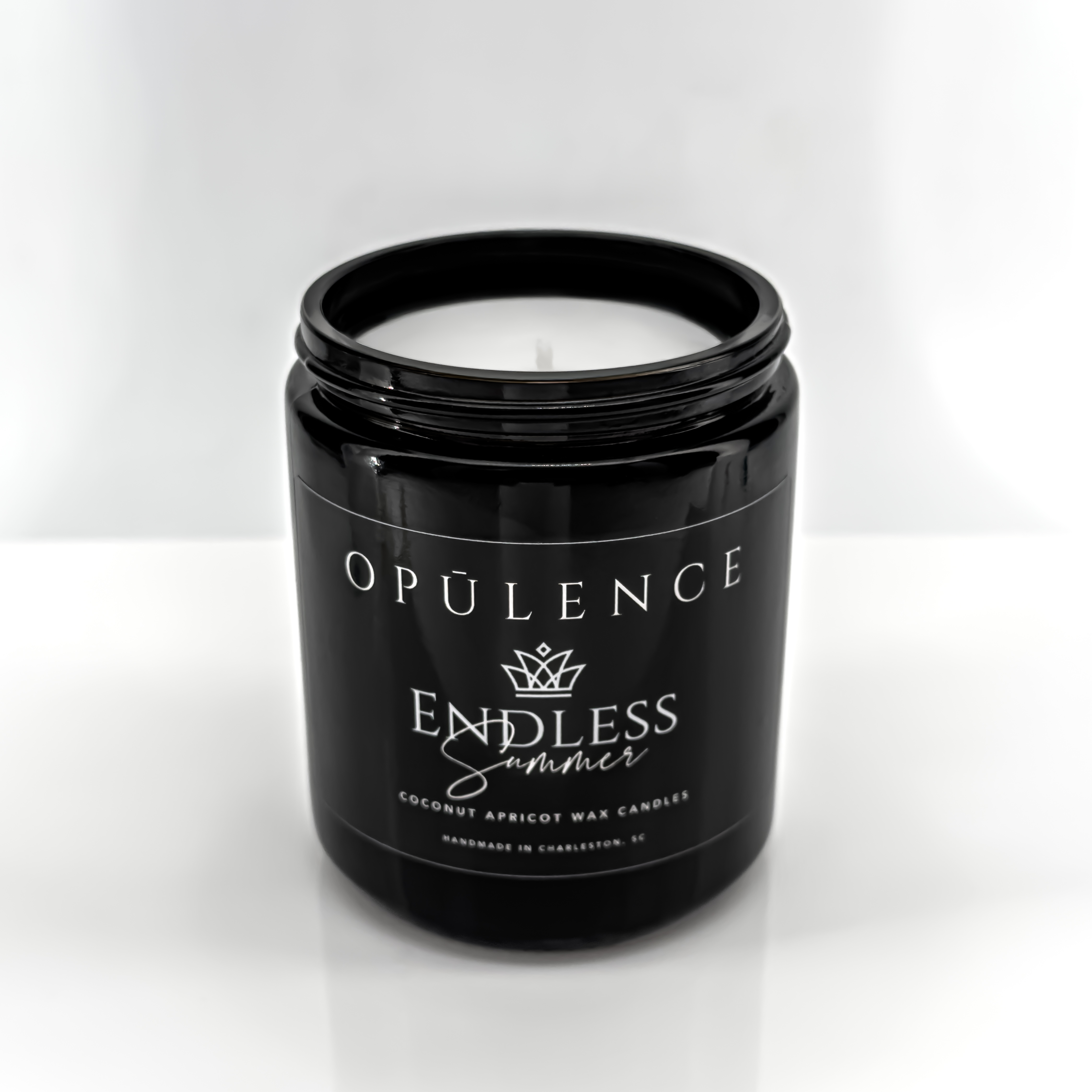 Endless Summer | Classic Series | 8oz – Image 2
