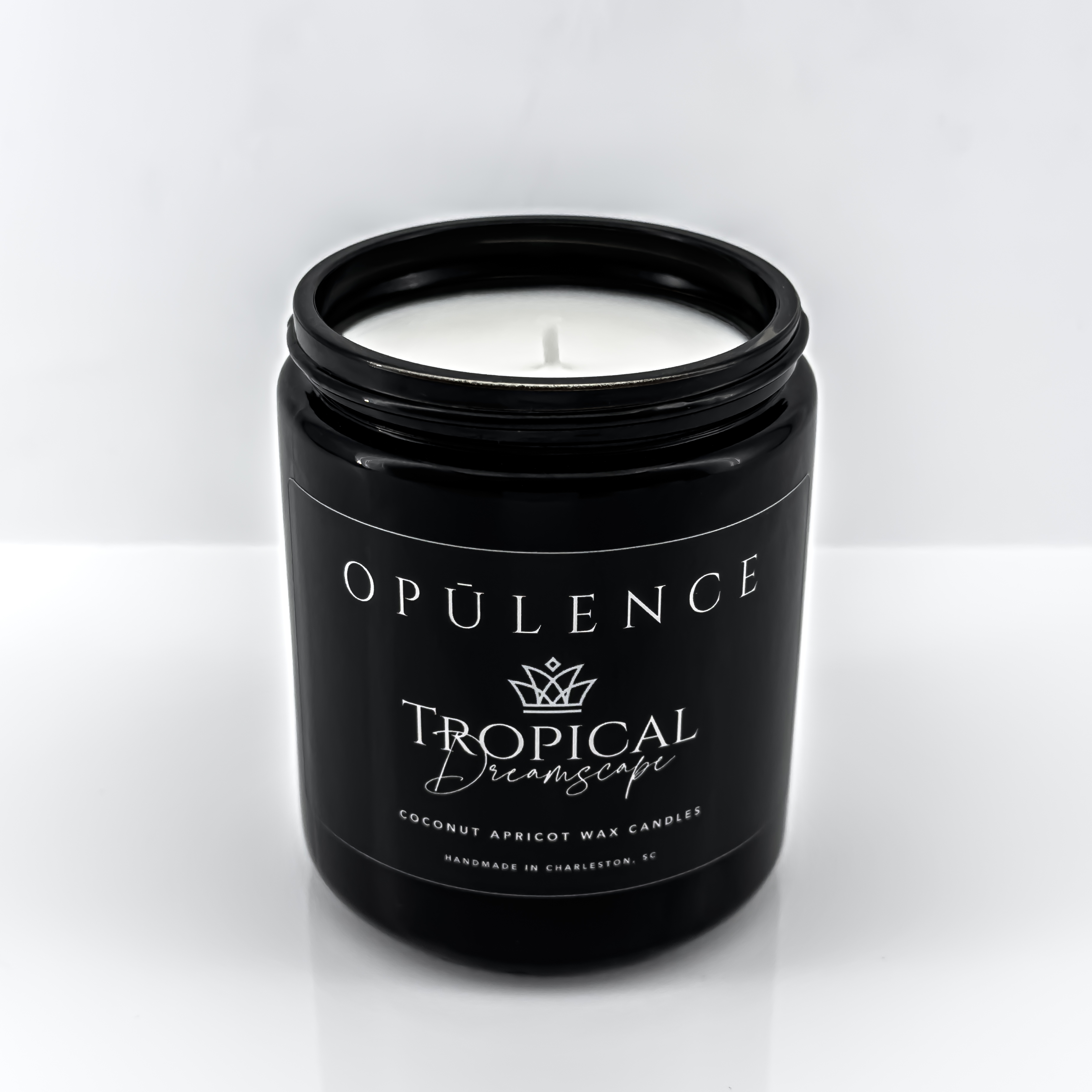 Tropical Dreamscape | Classic Series | 8oz – Image 2