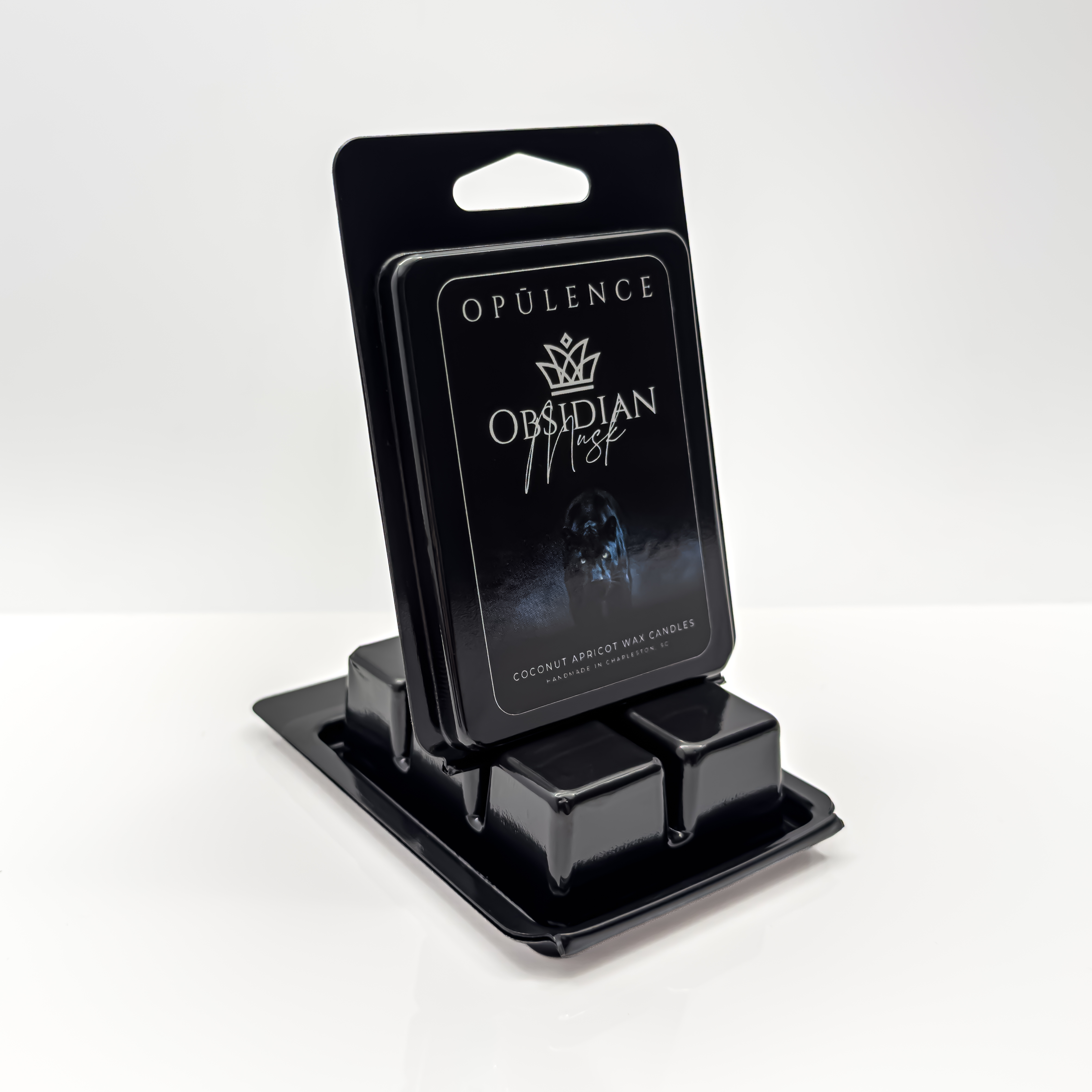 Obsidian Musk | Wax Melt | 6-Count Clamshell – Image 2