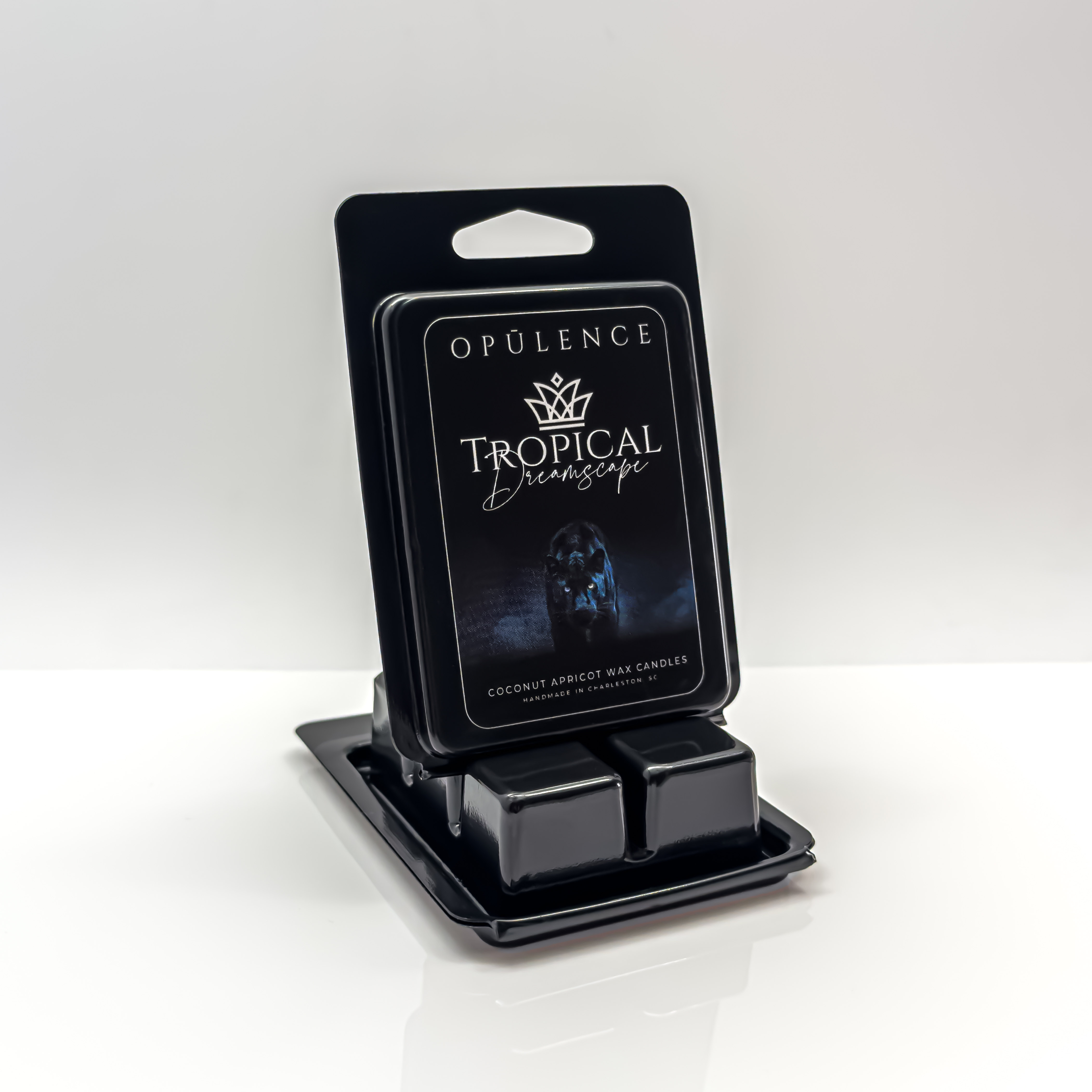 Tropical Dreamscape | Wax Melt | 6-Count Clamshell – Image 2