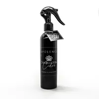 Charleston Cider | Room Spray | 8oz – Image 2