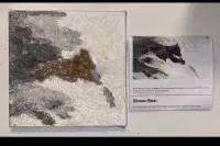 The Bear’s Catch – Image 1
