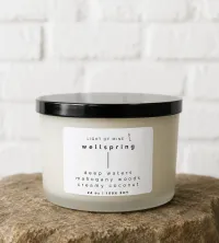 Wellspring – Image 1