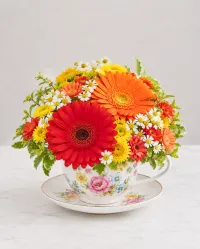 Hot Tea! – Image 2