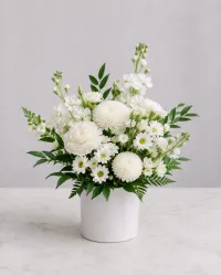 Snowy - Classic – Image 3