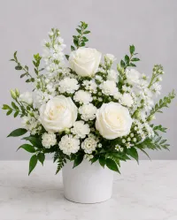 Snowy - Classic – Image 1