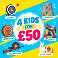 4x All Camp Activities Wristband – Image 1