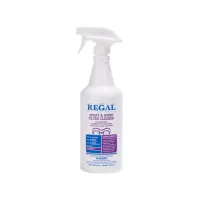 Spray & Rinse Filter Cleaner 1 qt bottle – Image 1