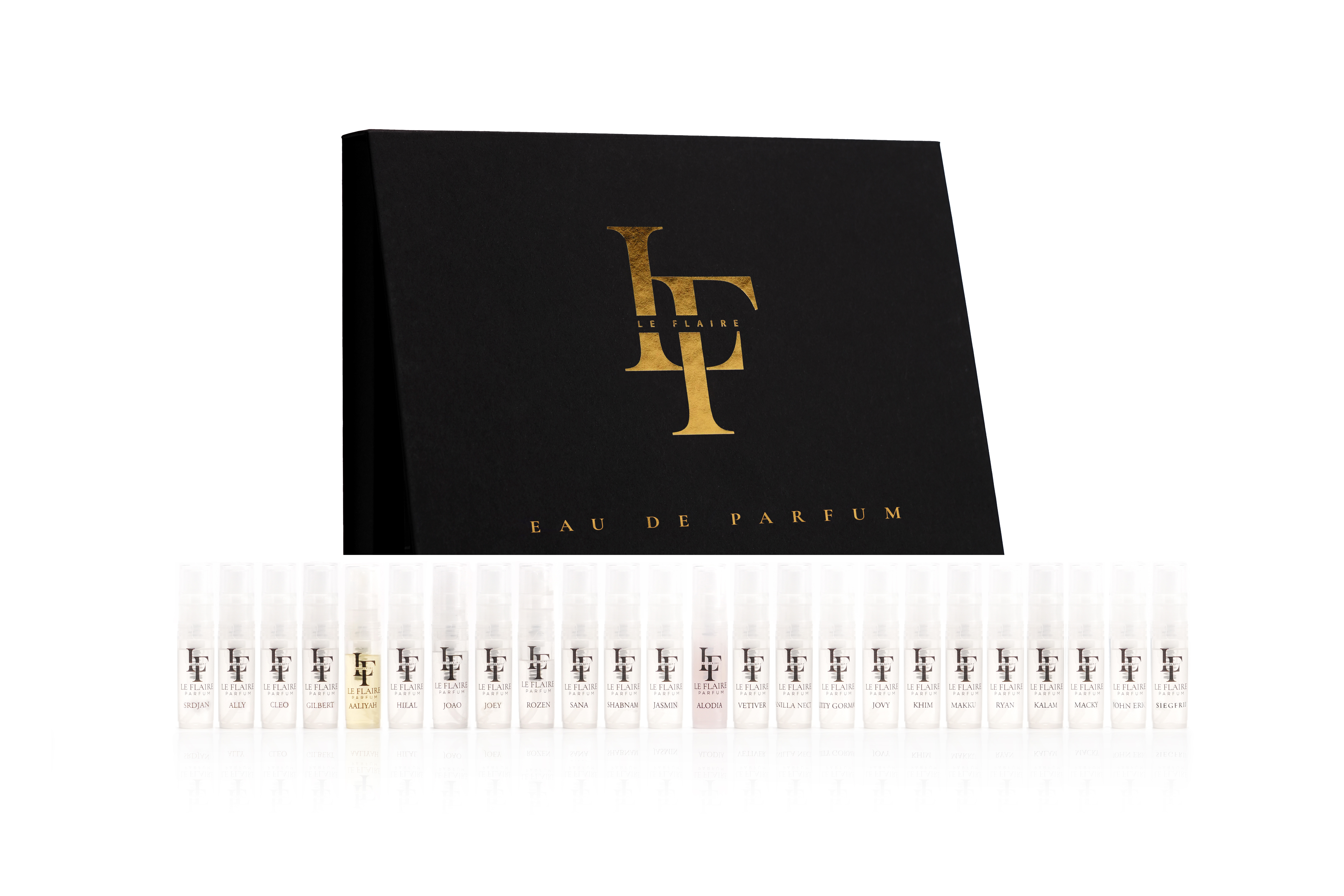 Brand Kit – Image 4