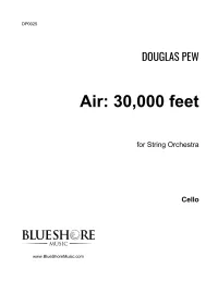 Air: 30,000 feet for String Orchestra (score) – Image 5